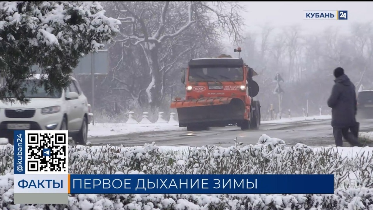    Скриншот видео телеканала «Кубань 24»