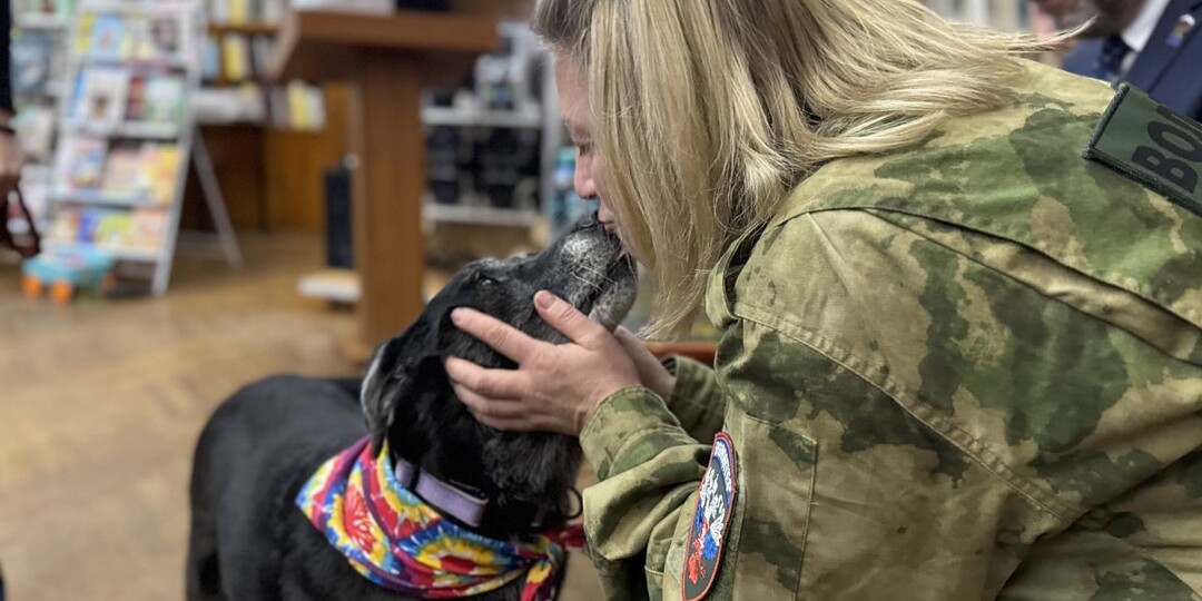 В Смоленске пройдёт выставка-раздача бездомных животных