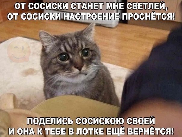 Источник: соцсети