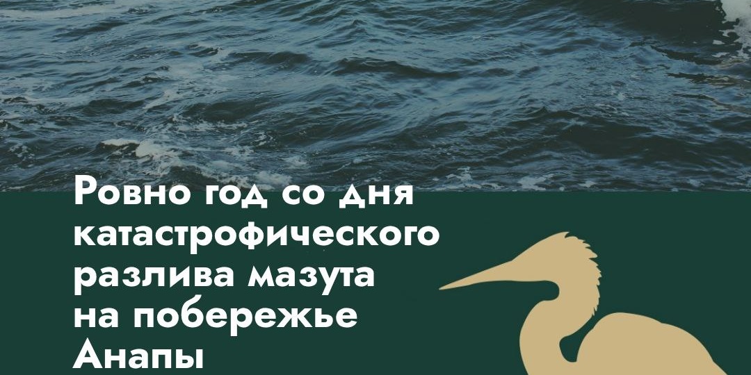 15 декабря исполнился ровно год с начала ликвидации последствий разлива мазута на побережье Анапы. Работы продолжаются до сих пор