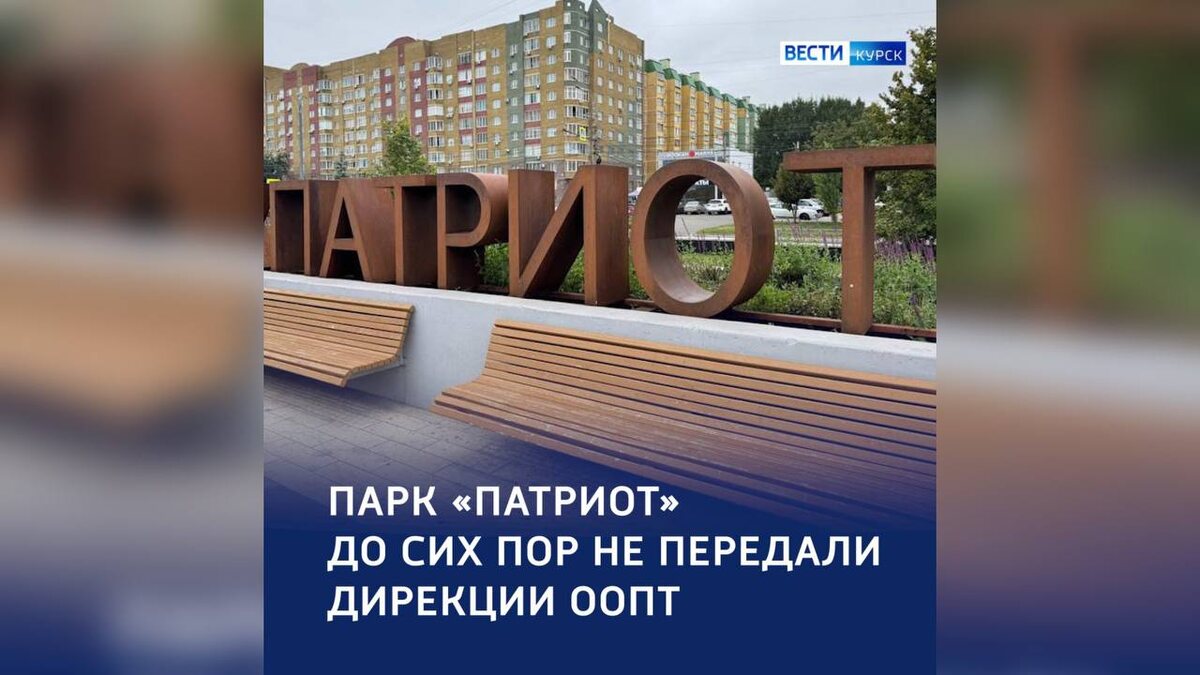    В Курске руководителя Дирекции ООПТ отстранят от должности