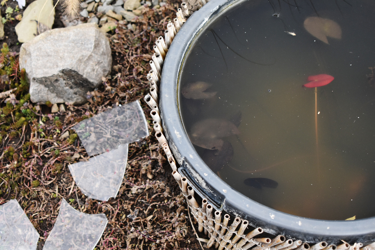 Рядом с прудиком лед, который его покрывал.