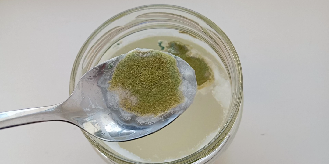 Метаризиум из закваски. Дубль 2.