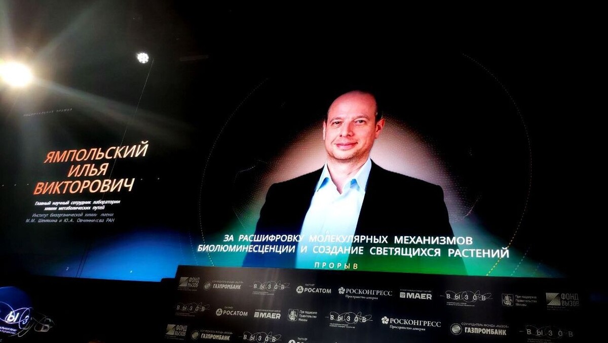     Источник: rosbalt.ru