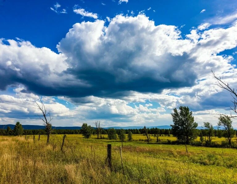    Изображение сгенерировано нейросетью Шедеврум Анастасия Болигузова