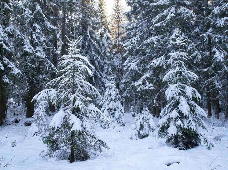     Фото: сгенерировано ИИ