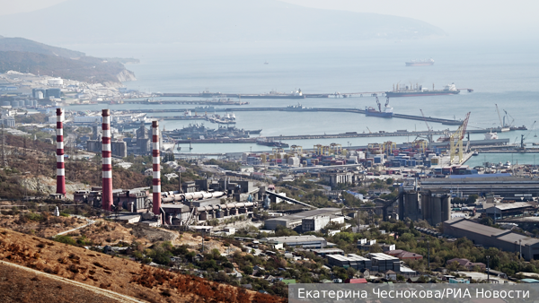     Фото: Екатерина Чеснокова/РИА Новости   
 Текст: Вера Басилая