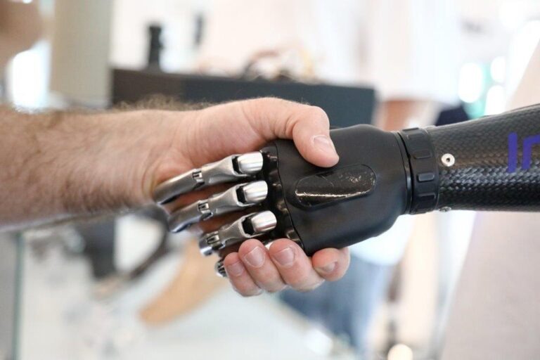    Фото: Новосильцев Артур/Агентство «Москва» Анастасия Болигузова