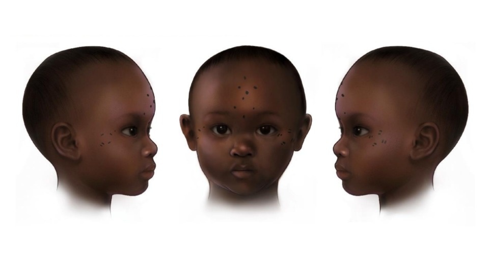   Mary Nguyen / UMSL; Anne Austin et al. / Proceedings of the National Academy of Sciences, 2025