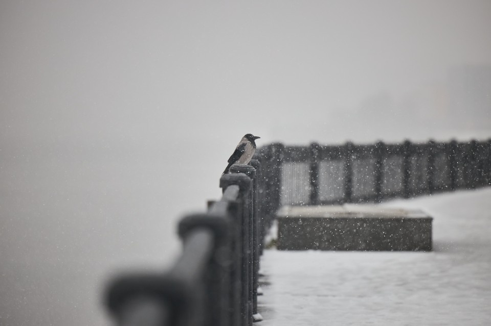    Погодные условия 13 декабря были крайне тяжёлые Николай ОБЕРЕМЧЕНКО