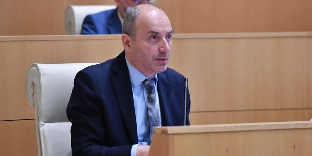 Депутат: "Национальное движение" – печальное прошлое Грузии