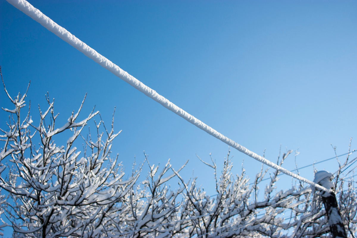 Фото: freepik.com  📷
