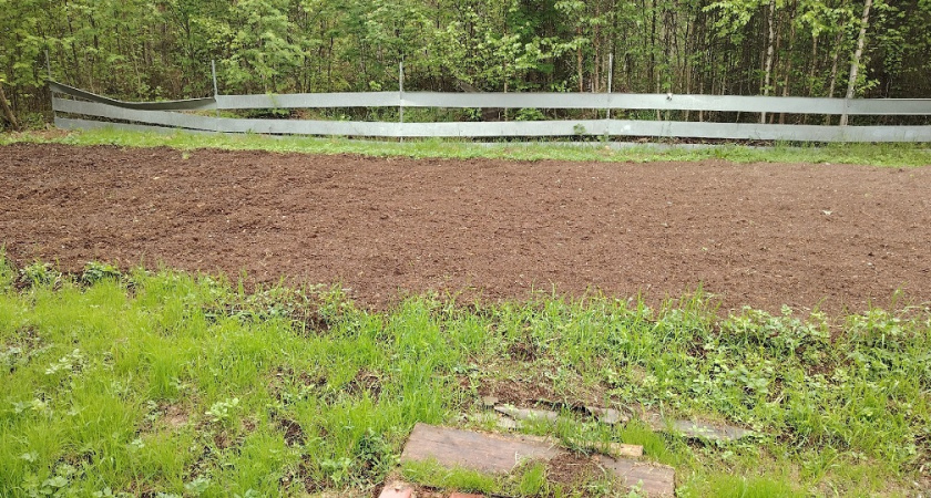    фото из архива редакции