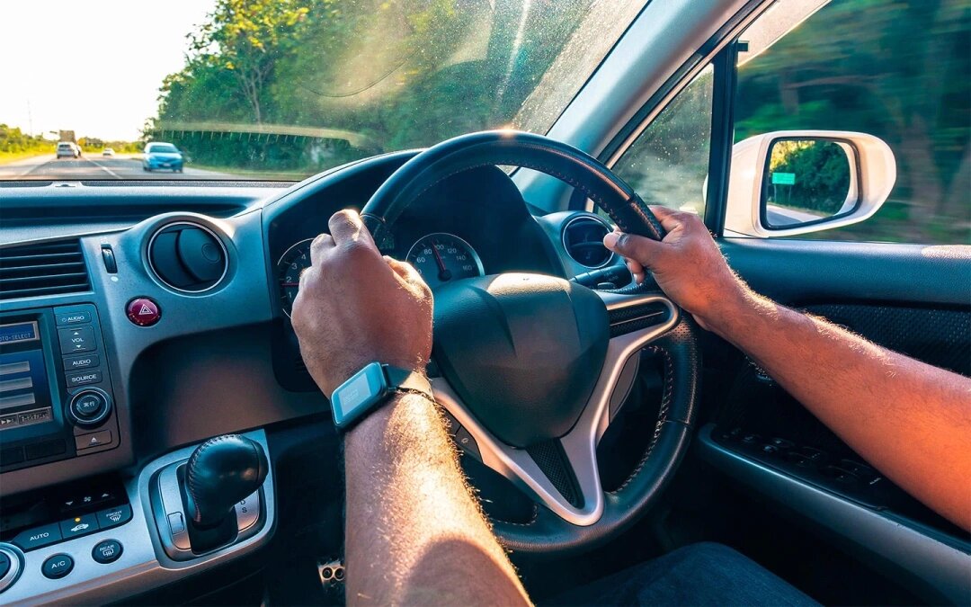 Фото: Debbie Ann Powell / Shutterstock / FOTODOM