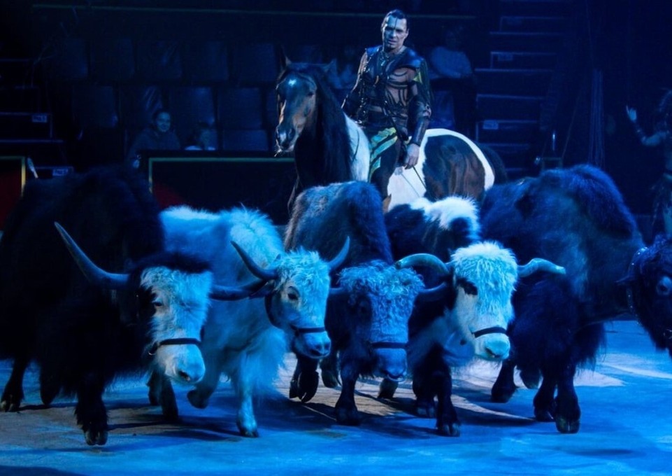    «Дикая планета» - одно из самых зрелищных цирковых шоу Росгосцирка. Фото: Донецкий цирк «Космос»