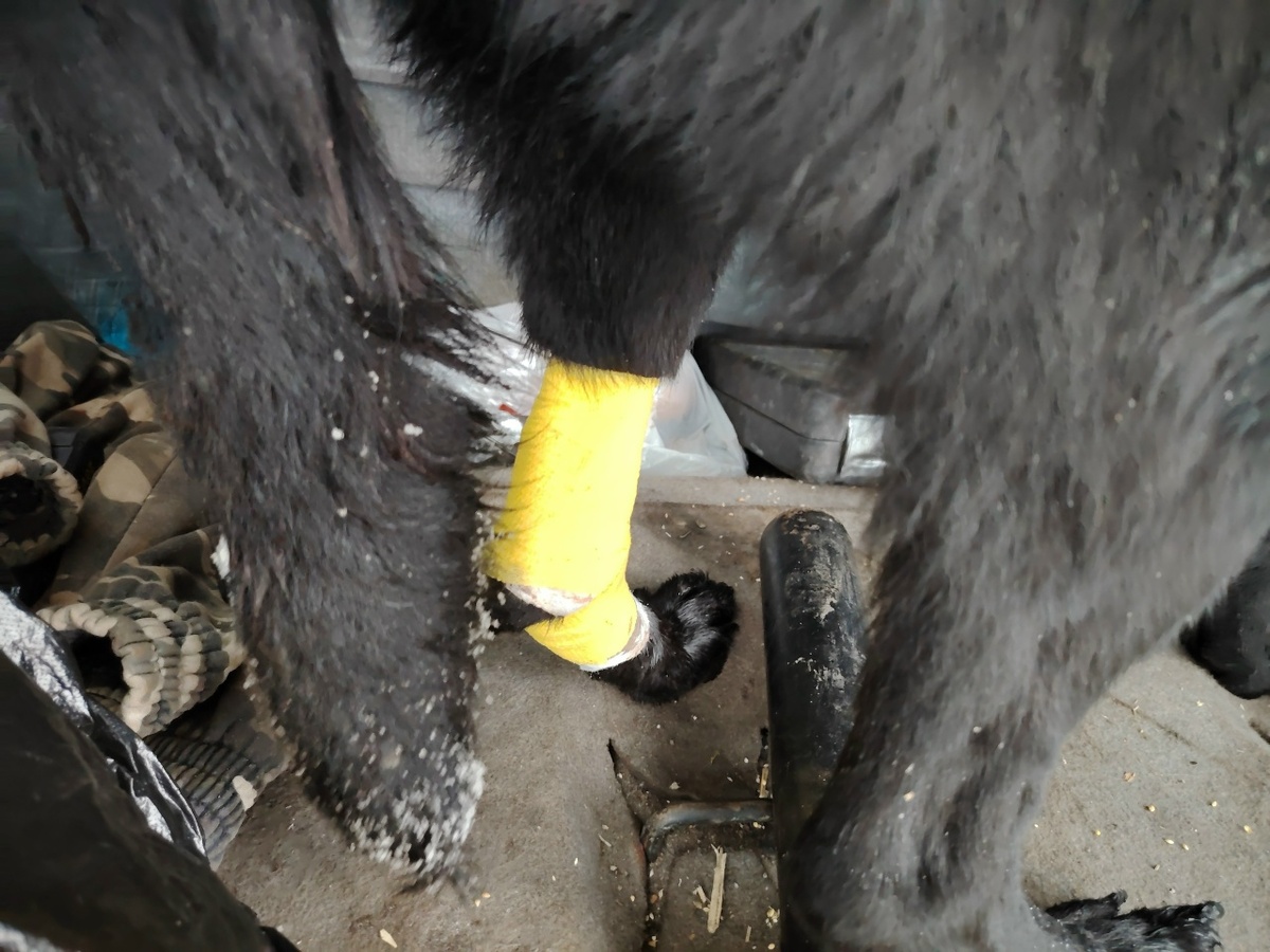     ВК "Подслушано Борисоглебск"