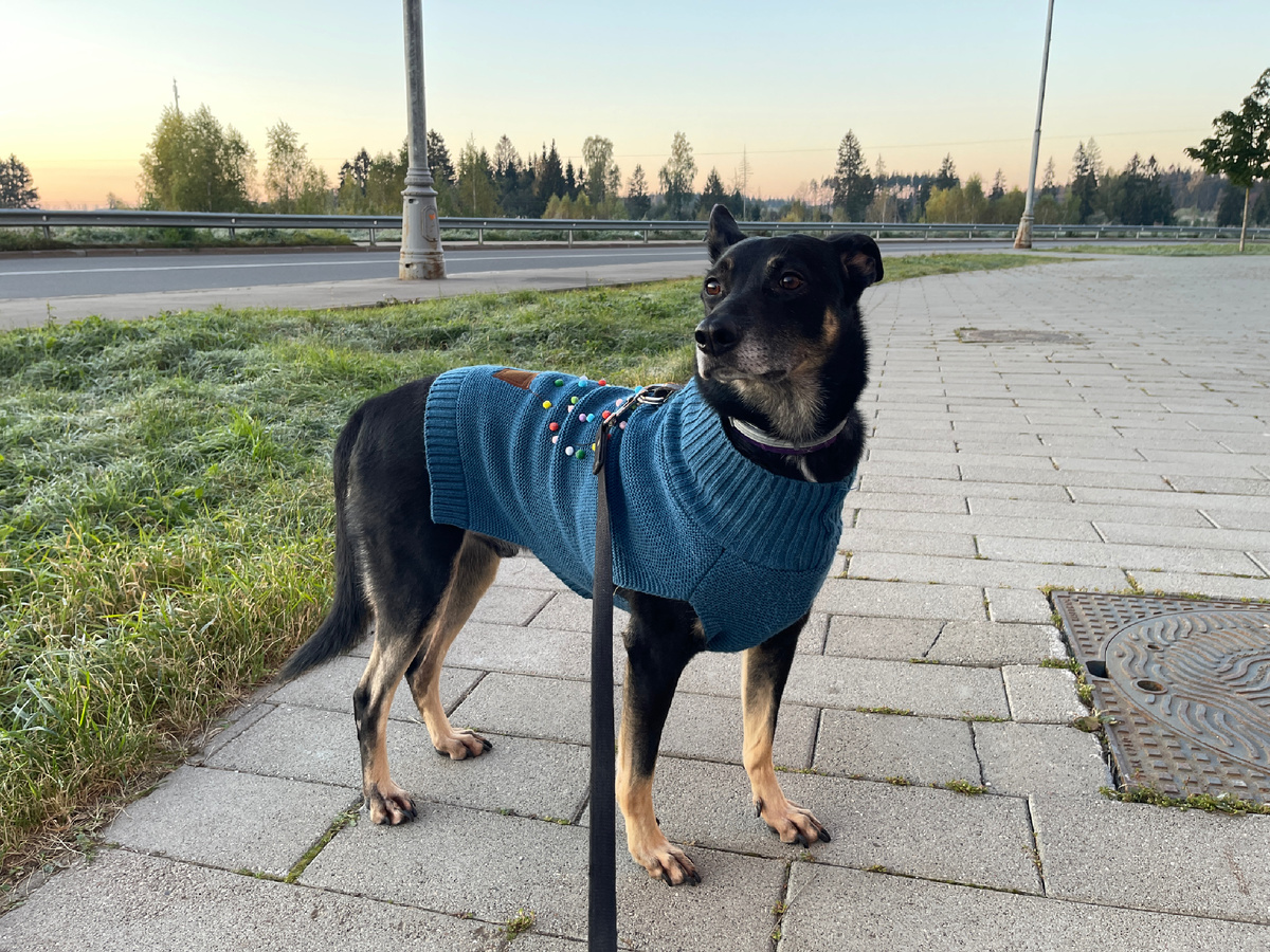 Смотрю важно вдаль для красивого кадра! 😅