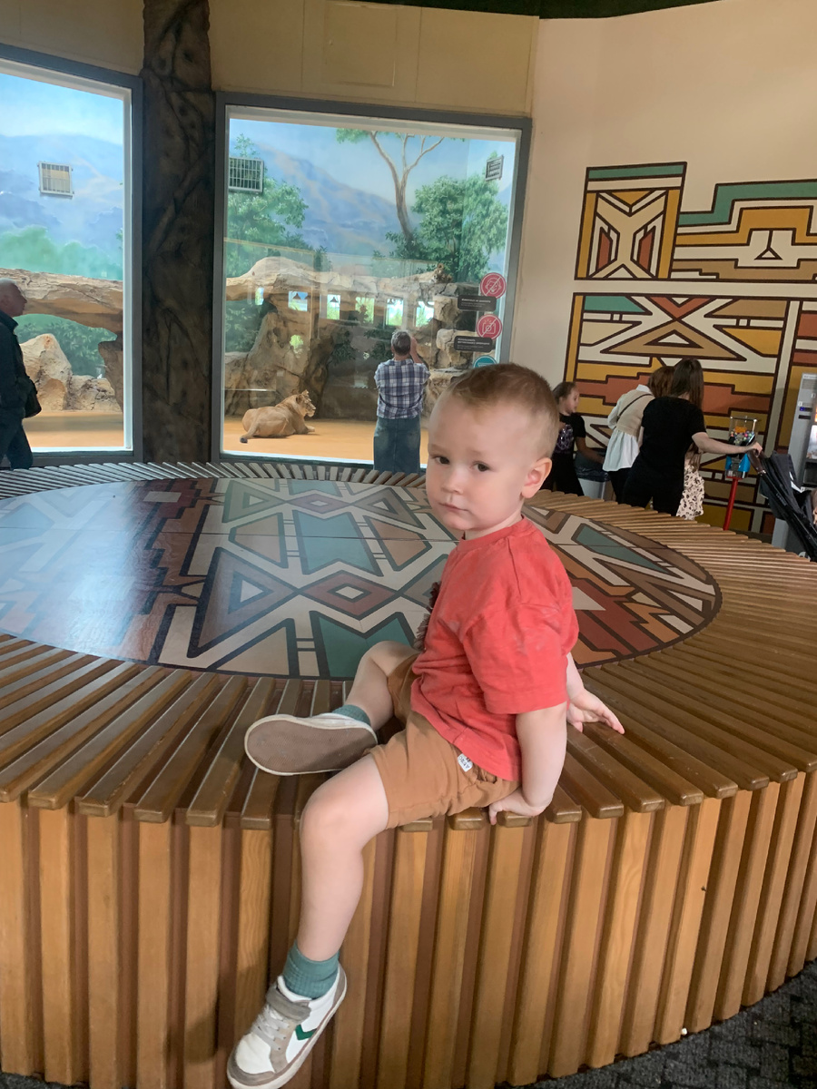 Это Оскар в казанском зоопарке этим летом