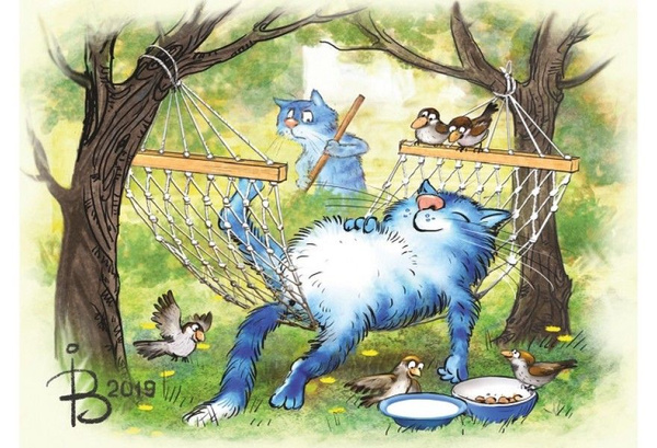 очаровательные коты Рины Зенюк