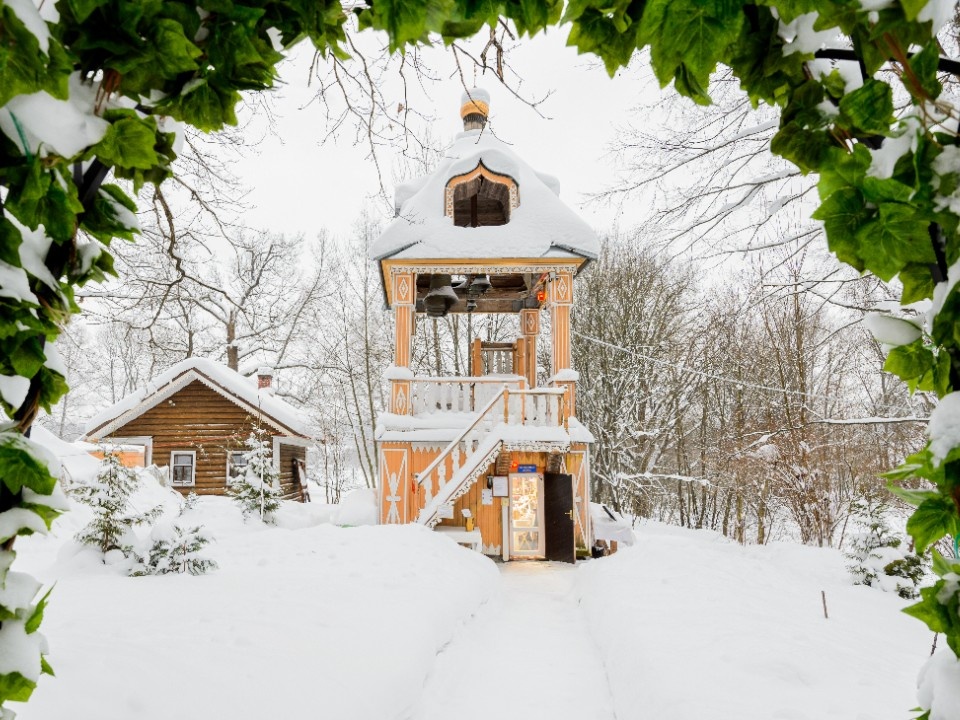    Фото: медиасток.рф