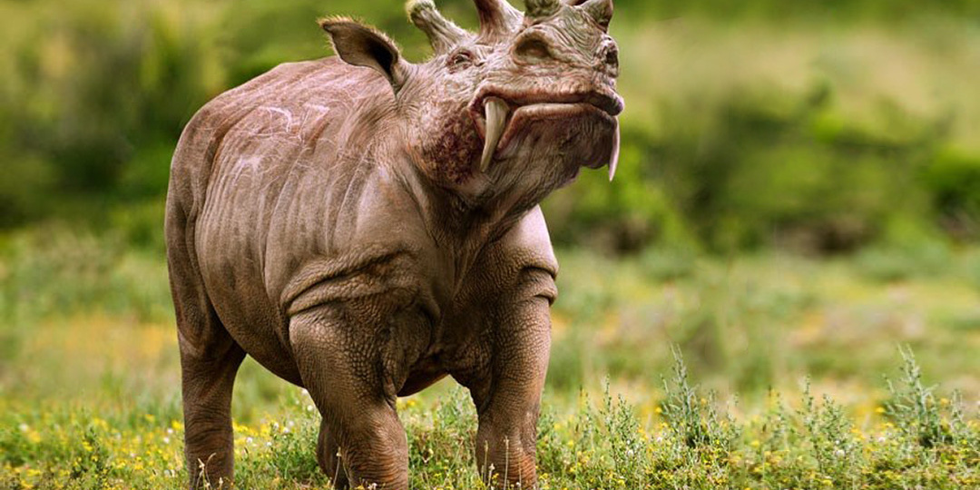 Загадочный гигант с озера Уинта