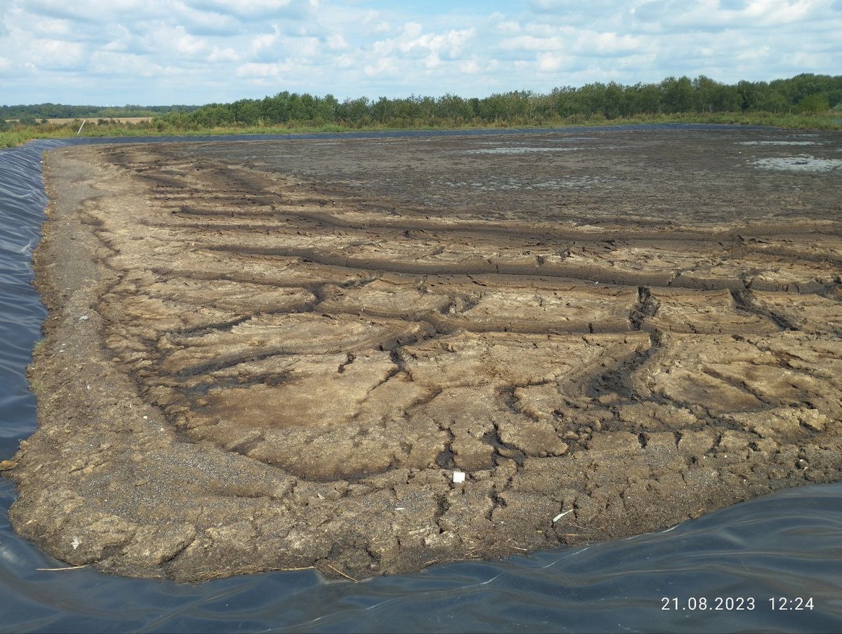Лагуна свинокомплекса в Белгородской области до начала работ. Фото компании Гроугрин 