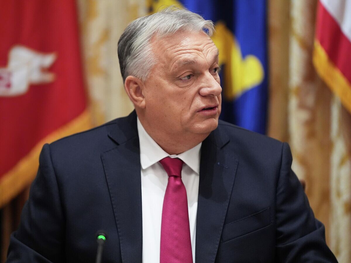    Премьер-министр Венгрии Виктор Орбан во время встречи с президентом США Дональдом Трампом | © AP Photo / Evan Vucci