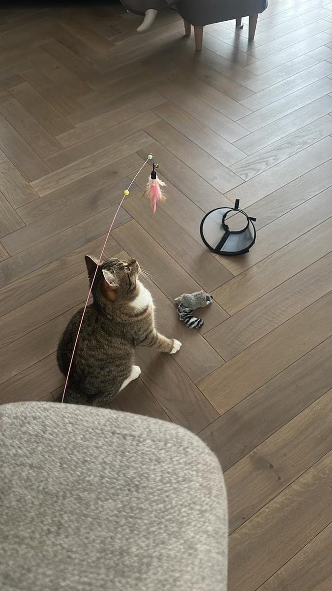 Первым делом надо наиграться.