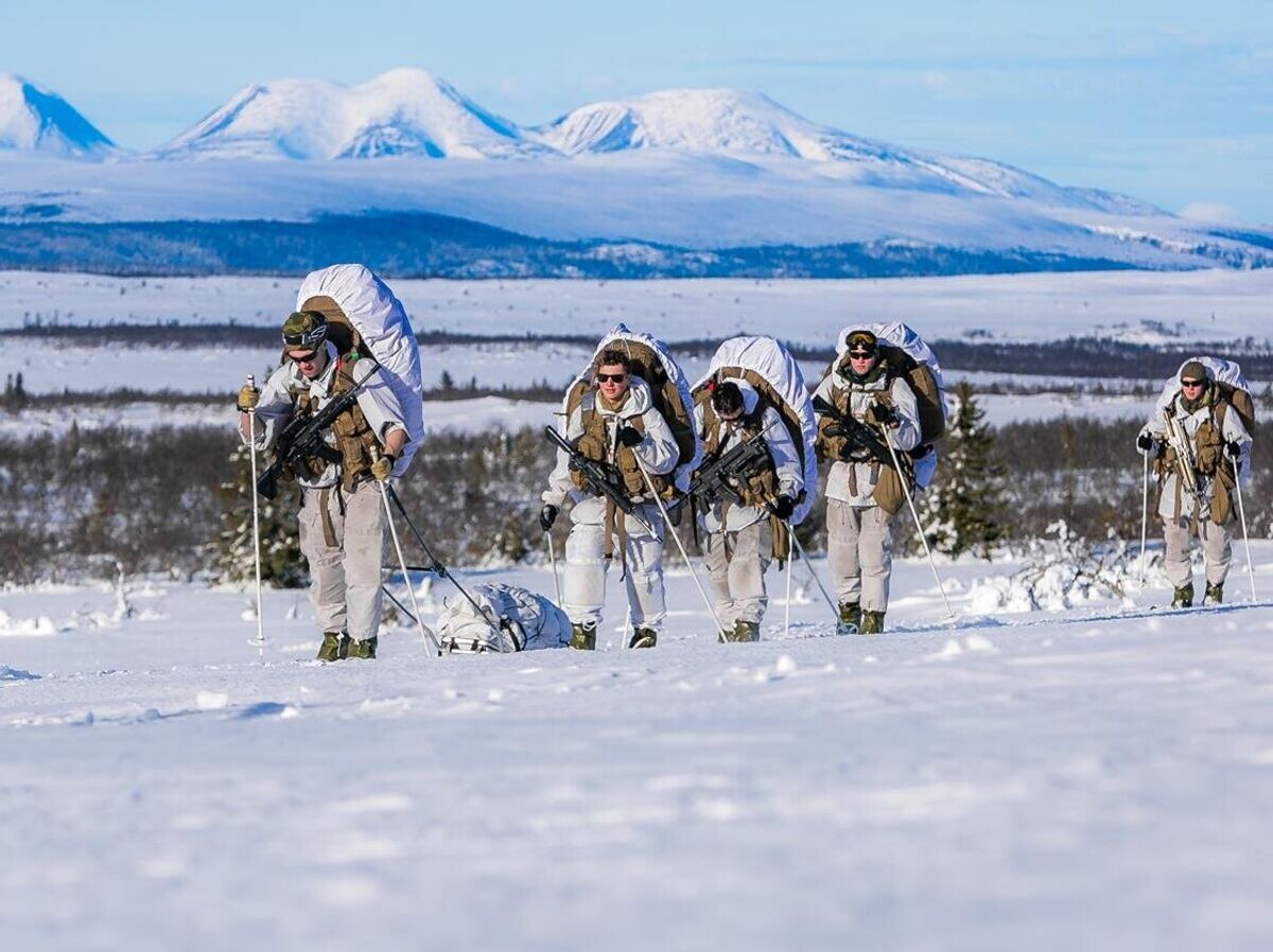    Норвежские военные | © Фото : NATO/Norwegian Armed Forces