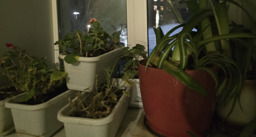    Фото Анастасии Дмитриевой