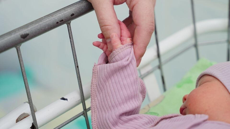    Младенец. Роддом. Источник: Антон Губанов