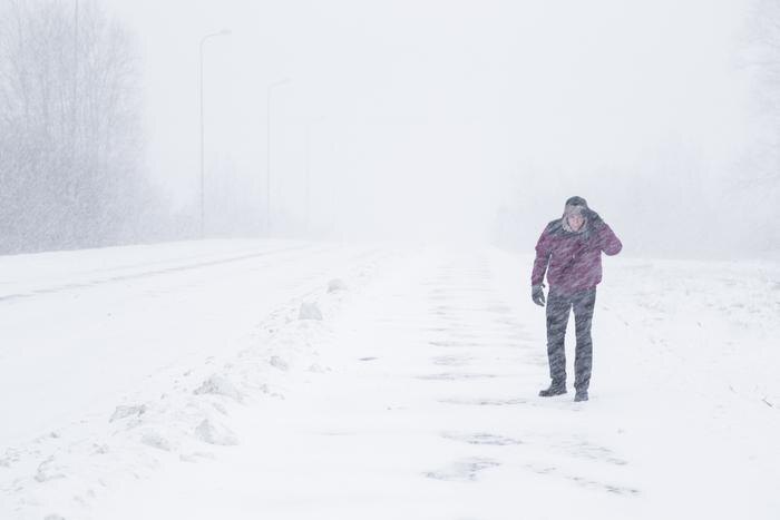 Обложка © Shutterstock / FOTODOM / FotoDuets