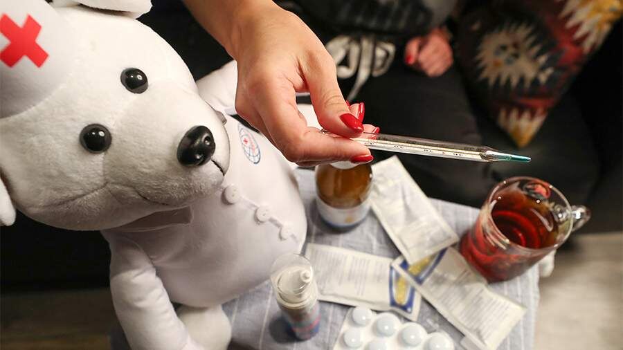    Фото: ИЗВЕСТИЯ/Андрей Эрштрем