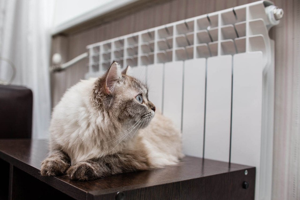    Отопление и горячую воду частично отключат в Иркутске 16 декабря. Валерий ЗВОНАРЕВ