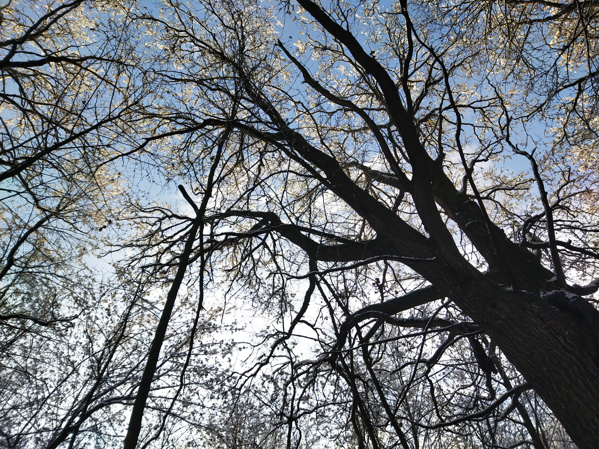 Личное фото