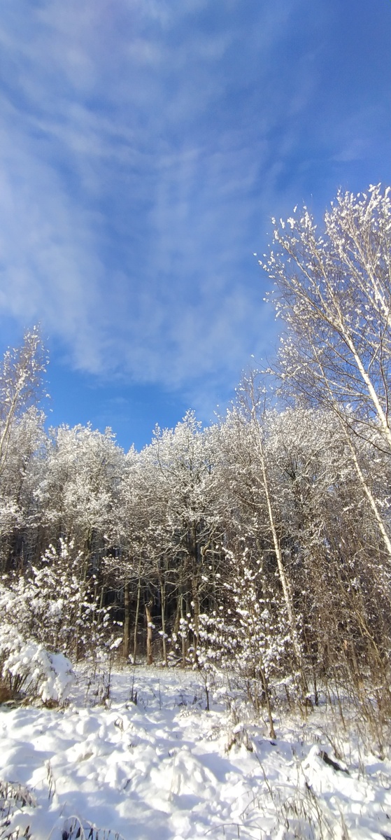 Личное фото