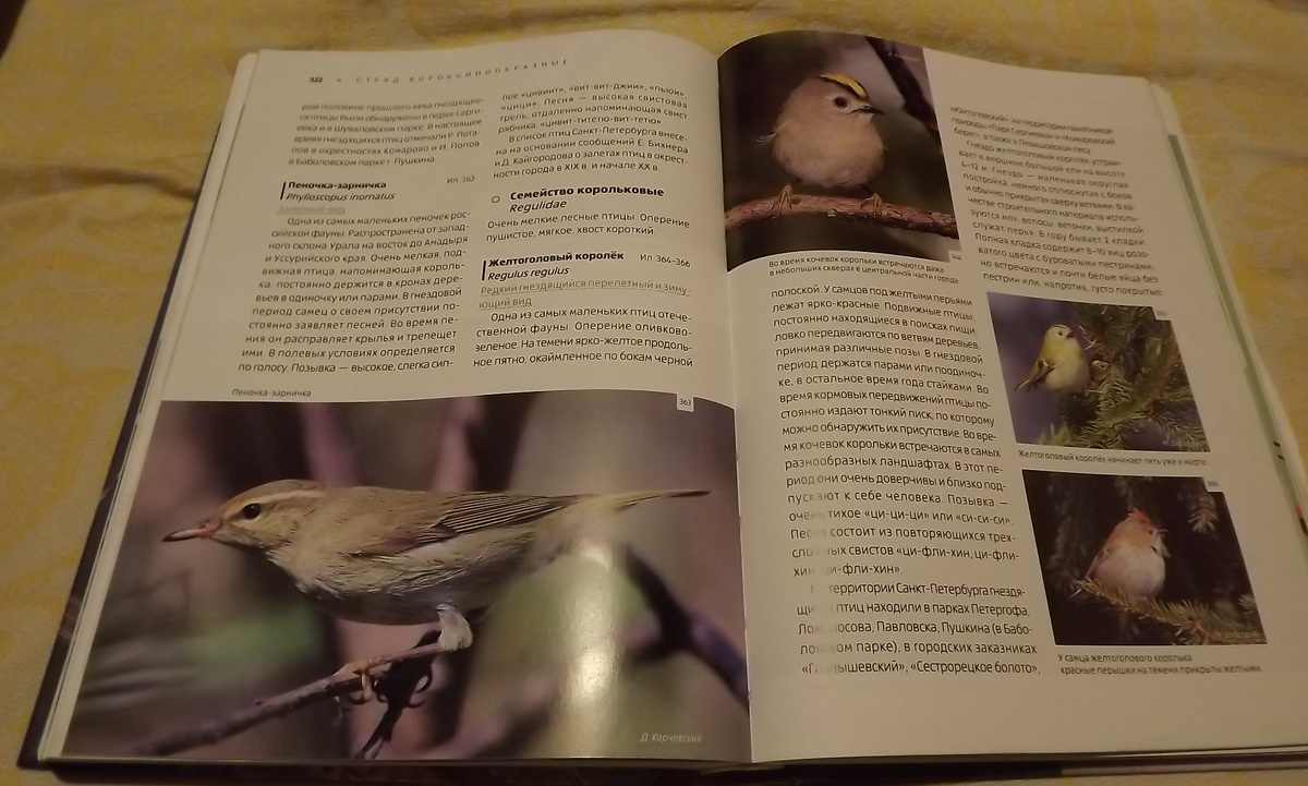 Пример разворота