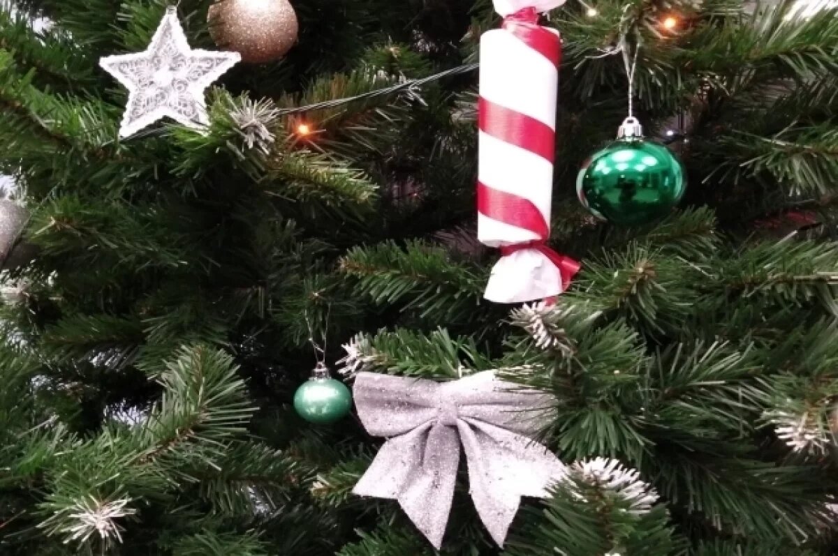    В этом году живые елки и пихты обойдутся сахалинцам от 3300 до 5300 рублей