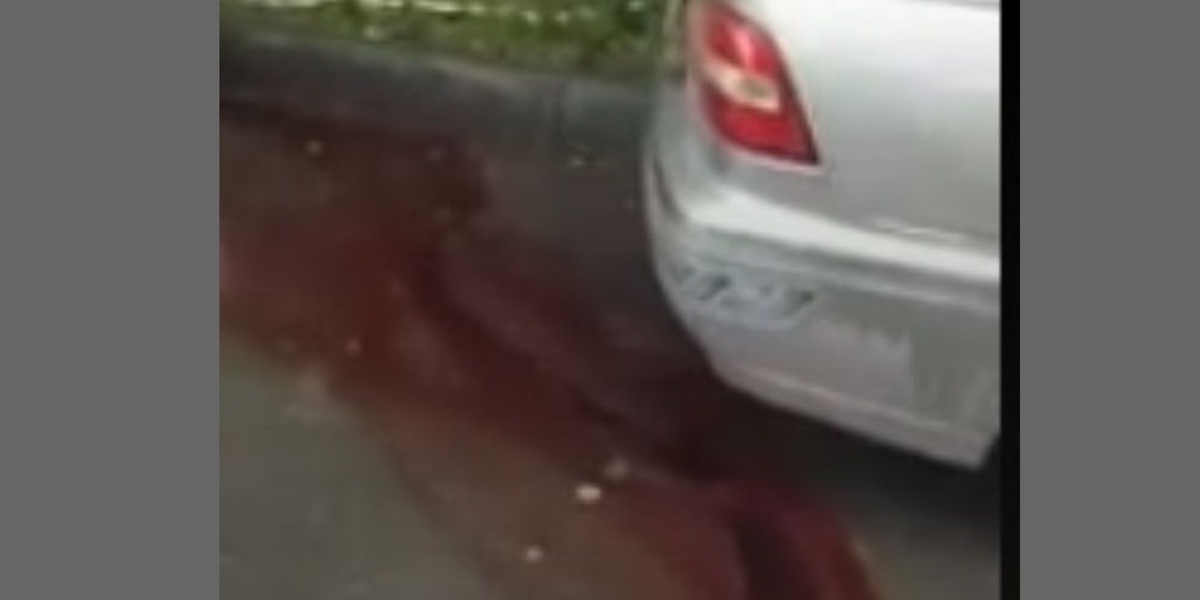 Пьяные иностранцы зарезали молодого парня во Владивостоке из-за замечания