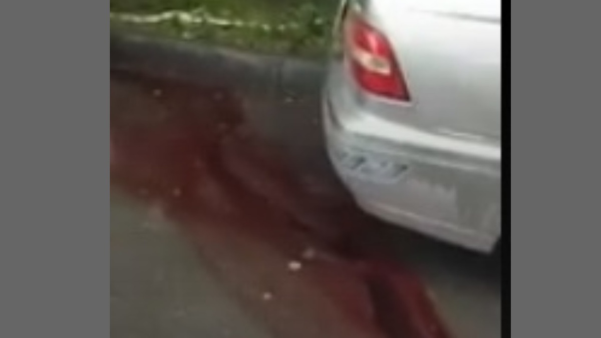 Фото: скриншот видео из соцсетей