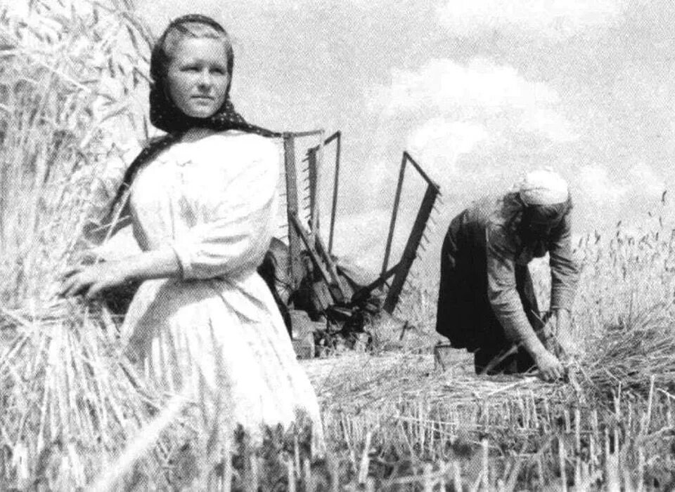 Взято из открытых источников интернета Яндекс.