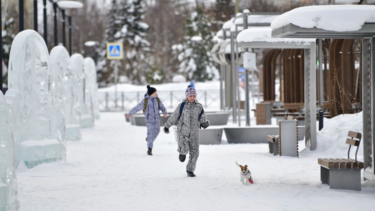    Фото: Андрей Ткачев / «Ямал-Медиа»