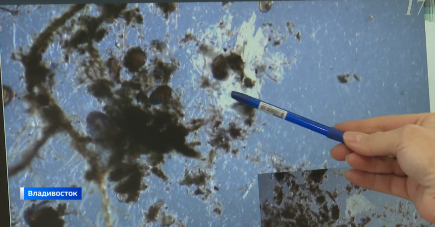    Источник фото: