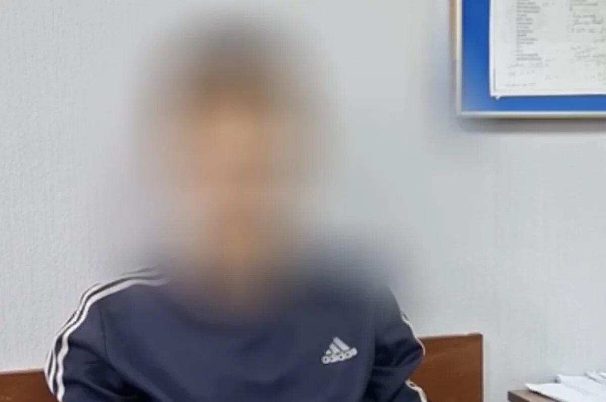    Дело о поджоге леса подростками передали в суд в Чите