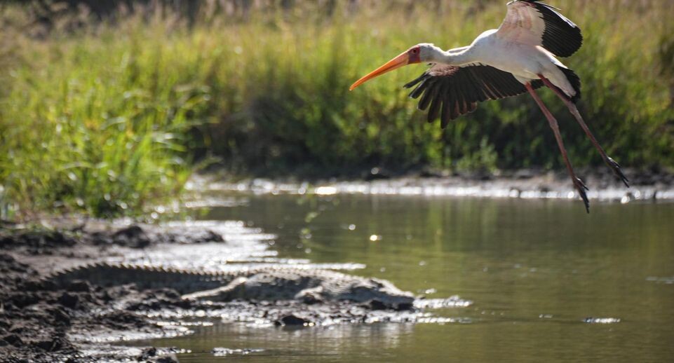    Li Yahui/XinHua / www.globallookpress.com
