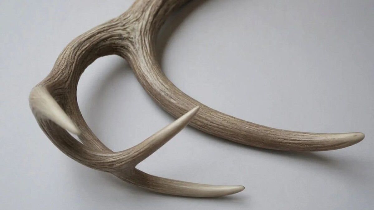    Изображение создано с помощью ИИ