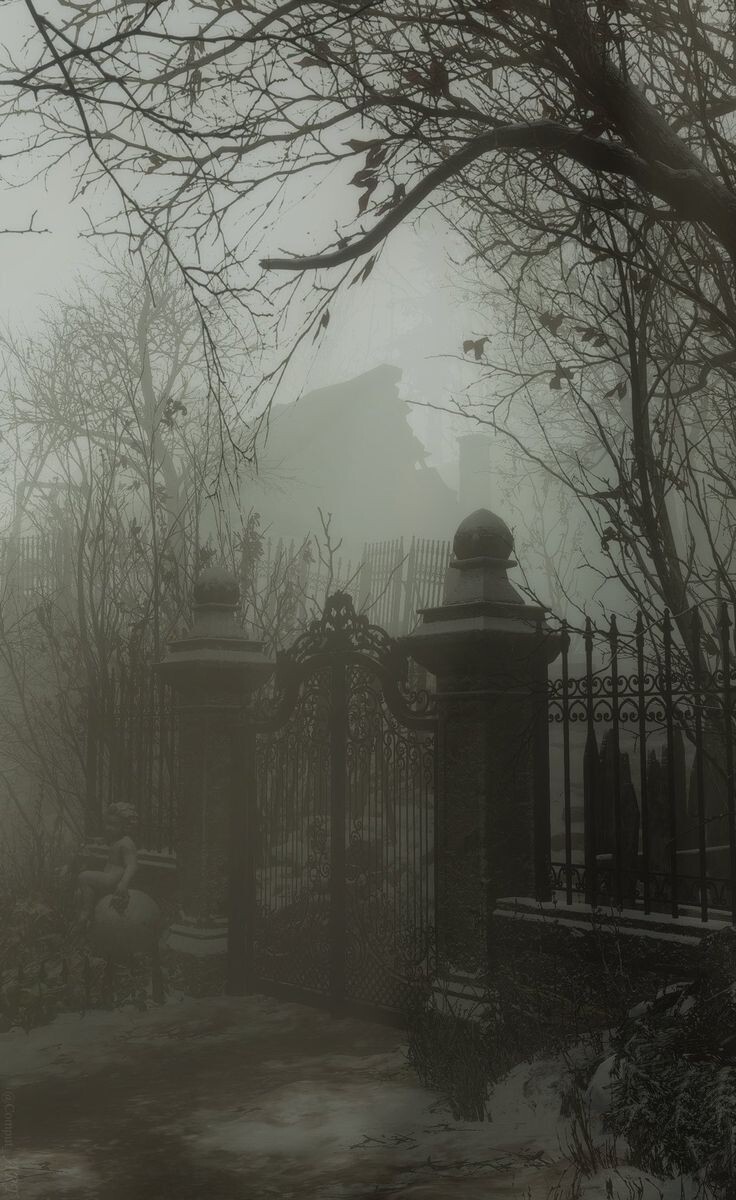 Изображение взято из открытых источников интернета. 