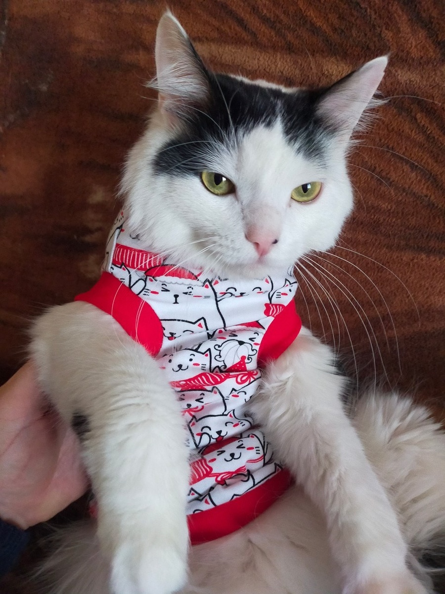    Для елки мы купили наборы елочных шариков с блестками. Татьяна СОЛОВОВА