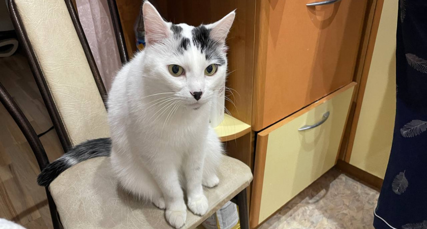    Автор фото - Анна Ефимова