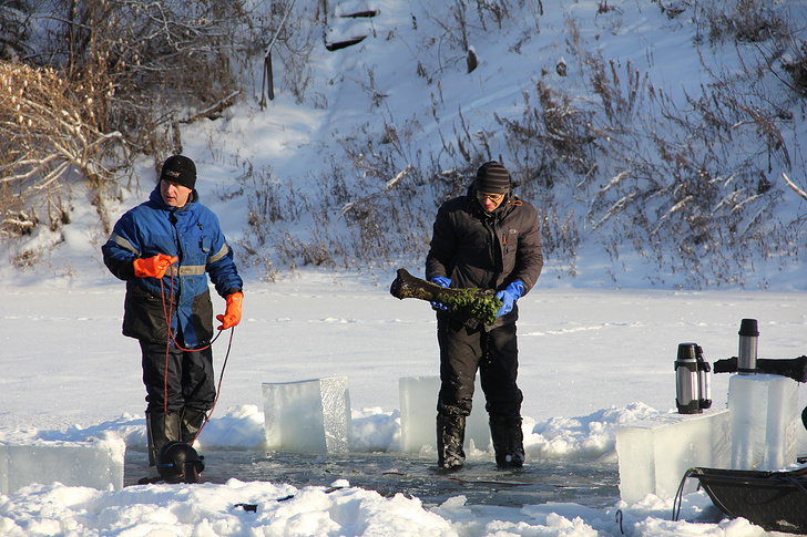   Официальная страница Курганского областного отделения РГО (Зауральского) во "ВКонтакте"
